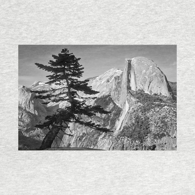 View from Glacier Point B+W by jforno